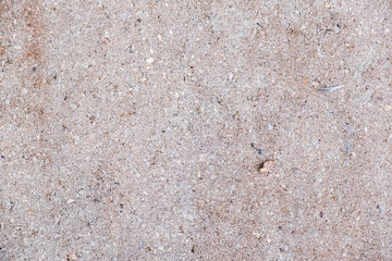 Light grey neutral color background