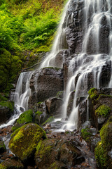 Fototapeta premium Fairy Falls on the Wahkeena Falls Hike at the Columbia River Gorge in Oregon