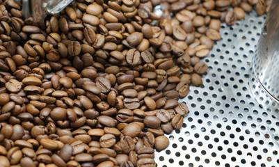 Coffee beans inside coffee maker