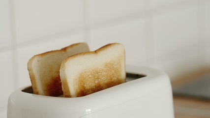 CLOSE UP: Roasted bread in a white toaster