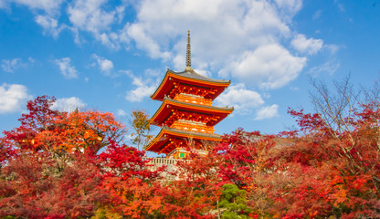 Kiyomizu-dera autumn