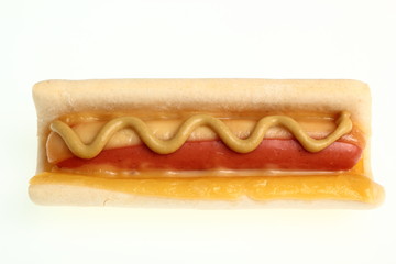 Hot Dog with Mustard