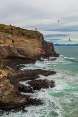Scenic view of Taiaroa Head lighthouse, Otago Peninsula, New Zealand