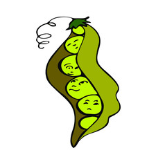 vector illustration green peas cartoon.funny green vegetable.
