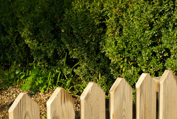 Naklejka premium Wooden decorative fence and green garden