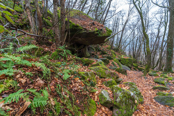 Ice holes in Eppan an der Weinstrasse in South Tyrol in Italy.