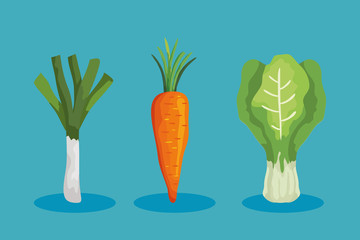 set of fresh and healthy vegetables vector illustration design