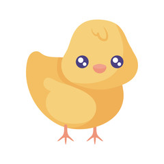 Cute kawaii chick cartoon vector design