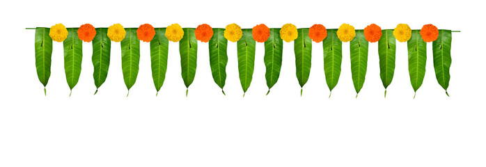 Indian flower garland of mango leaves and marigold flowers. Ugadi diwali ganesha festival poojas weddings functions holiday ornate decoration. Isolated on white background natural mango leaf garland