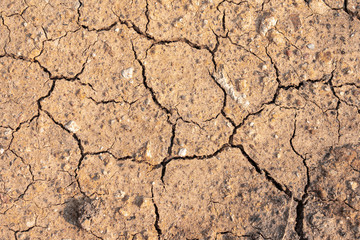Surface of dry drought soil and ground cracked top view background.