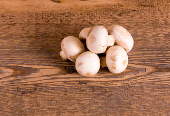 Mushrooms on a cutting Board, close-up, space for text	