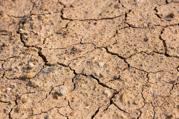 Surface of dry drought soil and ground cracked top view background.