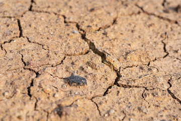 Surface of dry drought soil and ground cracked top view background.