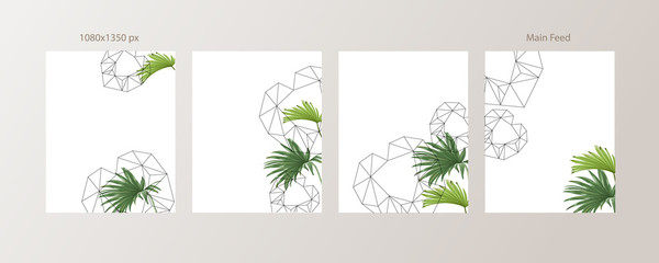 Green and Tropical cover design template, Social media stories and Main Feed Background  with green tropical leaf geometric shapes and minimal style decoration. Vector illustration.