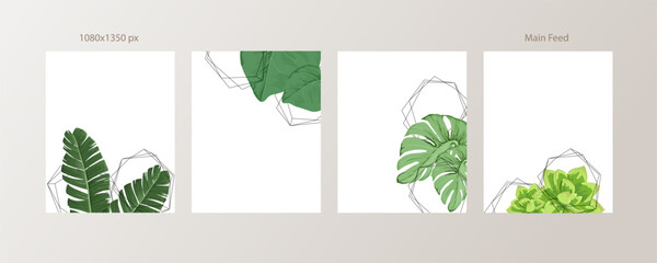Green and Tropical cover design template, Social media stories and Main Feed Background  with green tropical leaf geometric shapes and minimal style decoration. Vector illustration.