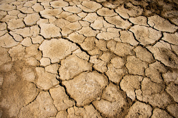 cracked earth texture