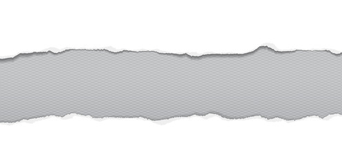 Fototapeta premium Torn, ripped pieces of horizontal white paper with soft shadow are on grey squared background for text. Vector illustration