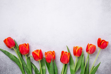 Row of red tulips on light stone background. Creative flat lay. Top view. Copy space