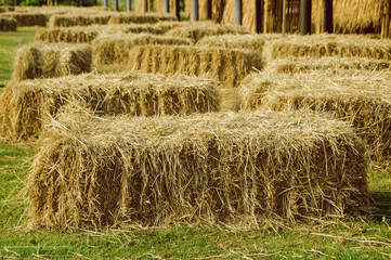 Outdoor chair made from straw bales laid on lawn yard.