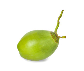 green coconut an isolated on white background
