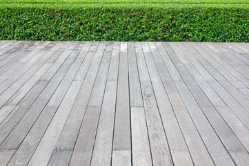 Old hardwood decking or flooring and plant in garden decorative.