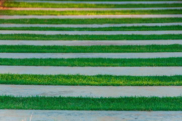 Pathway in the garden, stepping stones in the grass lawn.