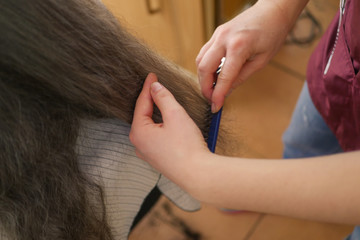 The hairdresser cuts the ends of the hair close up. Hairdresser haircut