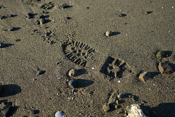 footprints on the beach