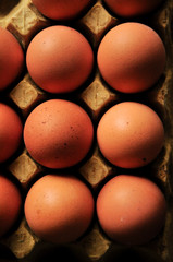 Chicken eggs in carton box as background, space for text