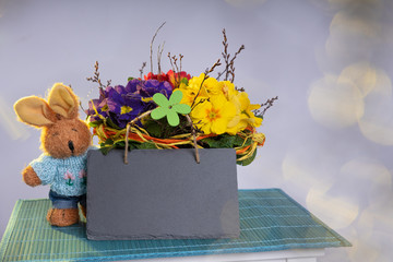 Primroses on a white stepladder as easter decoration