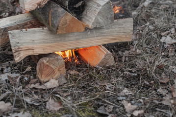 Campfire in nature close-up, top view,