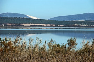 View across the lagoon (Laguna del Fuente del Piedra). Fuente del Piedra, Spain.