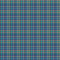 Tartan plaid pattern vector background.