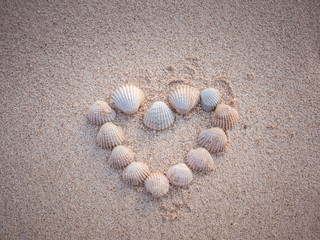 Fototapeta na wymiar Shells on sand arranged in love heart shape