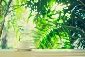 Coffee cup outdoor - window view tropic palm tree sunlight in the morning