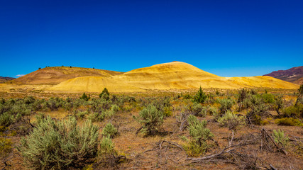 Colorful layers of Painted Hills