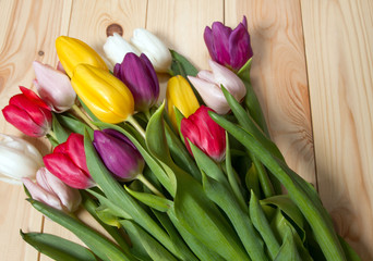 Tulips flowers background