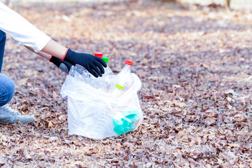 Volunteer collecting polyethylene terephthalate bottle garbage in park for recycling, Volunteer and Save Environmental concept.