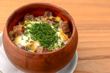 Beef stew with dill in a ceramic pot on white plate over light rustic wooden table.