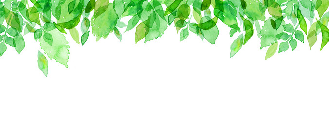 水彩　緑　初夏 © umiberry