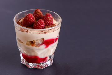 Italian dessert panna cotta with raspberries and cocoa powder served in small glass over black background.