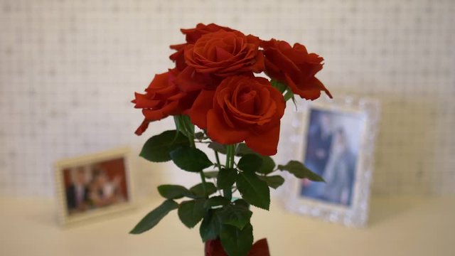 Slow camera tilt down to up medium shot of red roses in a small, thin turquoise vase on a white patterned surface with two wedding photos in the background with shallow DOF, depth of field.