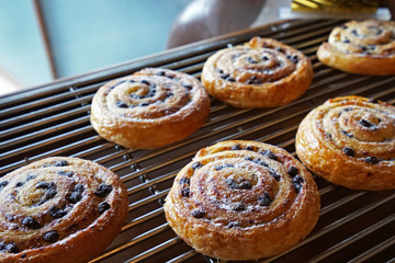 Close up Pain aux Raisins ,Danish raisin pastry swirls 