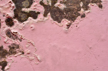 Pink Grunge Wall Texture Background