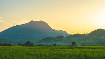 Obraz premium landscape with mountains and fog