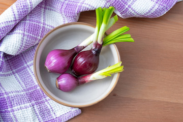 Red onion wood bowl purple plate table towel cloth fabric cage three dish saucer
