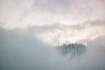 A Winter Wonderland Sunset In Mount Hood National Forest Oregon