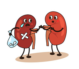 Kidneys on a white background. Stones in the kidneys. Vector illustration.