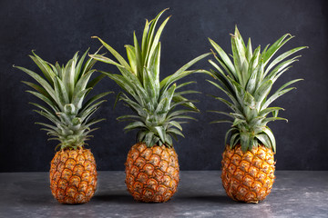 Three whole fresh ripe pineapples  in a row on dark background.