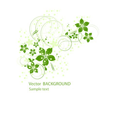 Green flowers background for your text